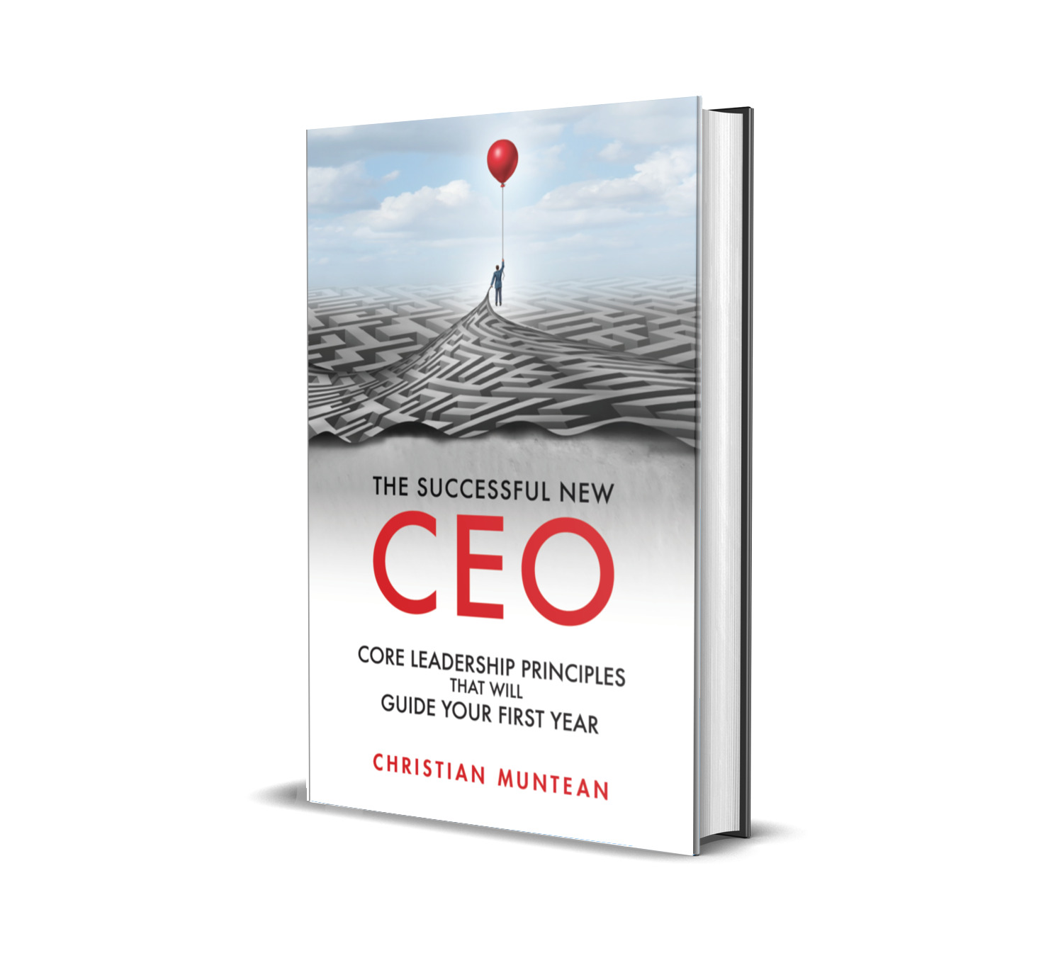 The Successful New CEO by Christian Muntean