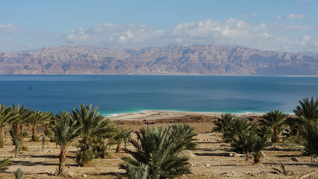 The Dead Sea