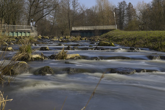 fish ladder