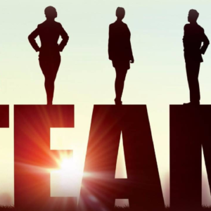 30 Days to a Beautifully Aligned Team